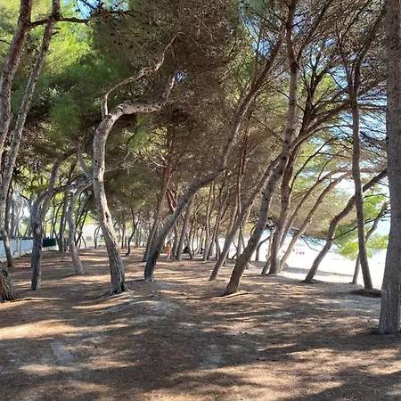 Cossis 2 Holiday home *